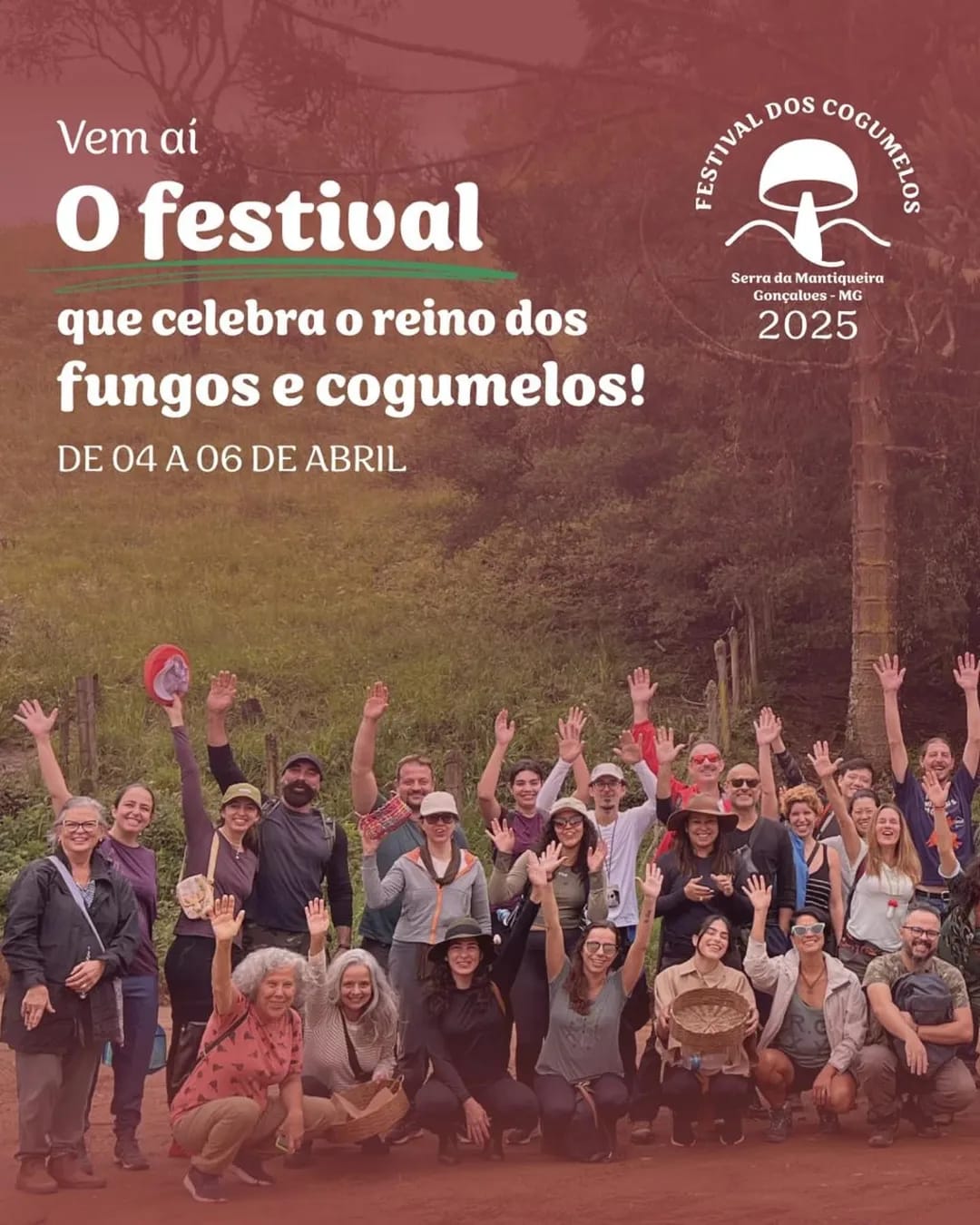 Festival do Cogumelo