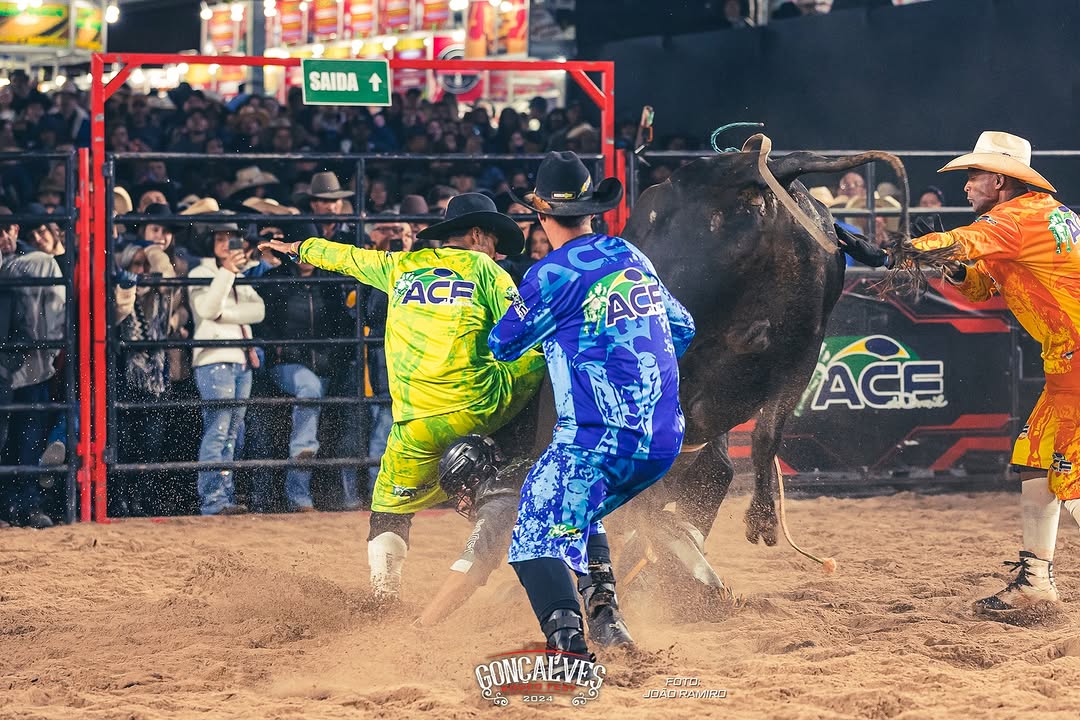 Rodeio 3